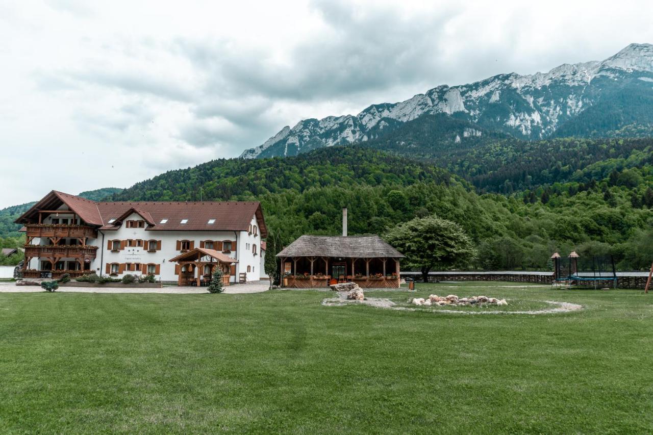Lodge Popasul Craiului Zărneşti